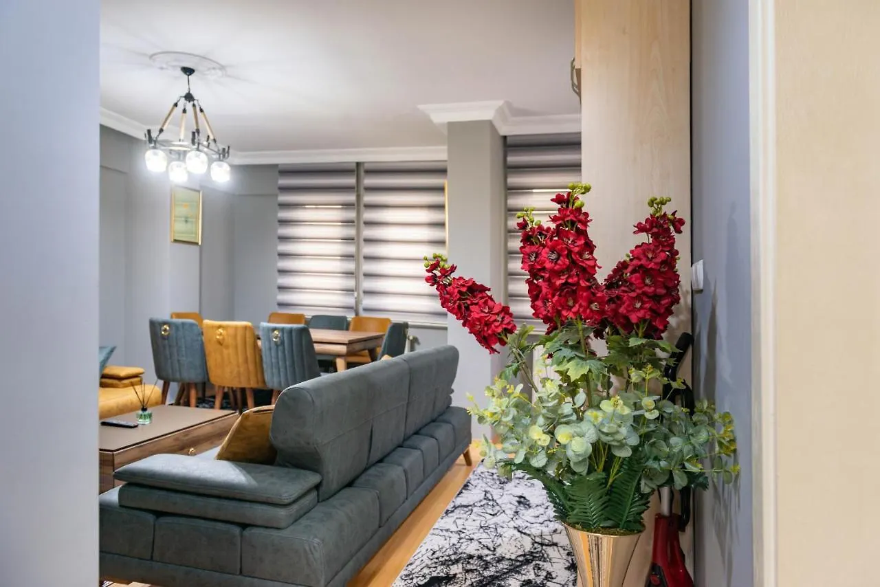 Mila House Ayasofya Apartment Istanbul Turkey